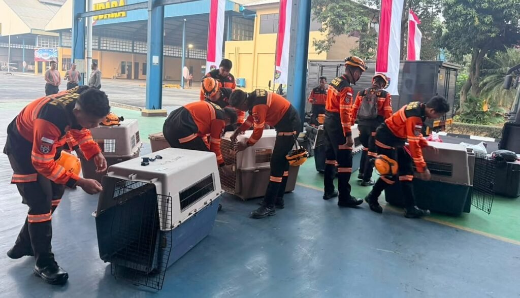 Ada beberapa daerah yang menjadi prioritas mitigasi dan pencarian korban, yaitu Sikka, Manggarai, dan Manggarai Timur
