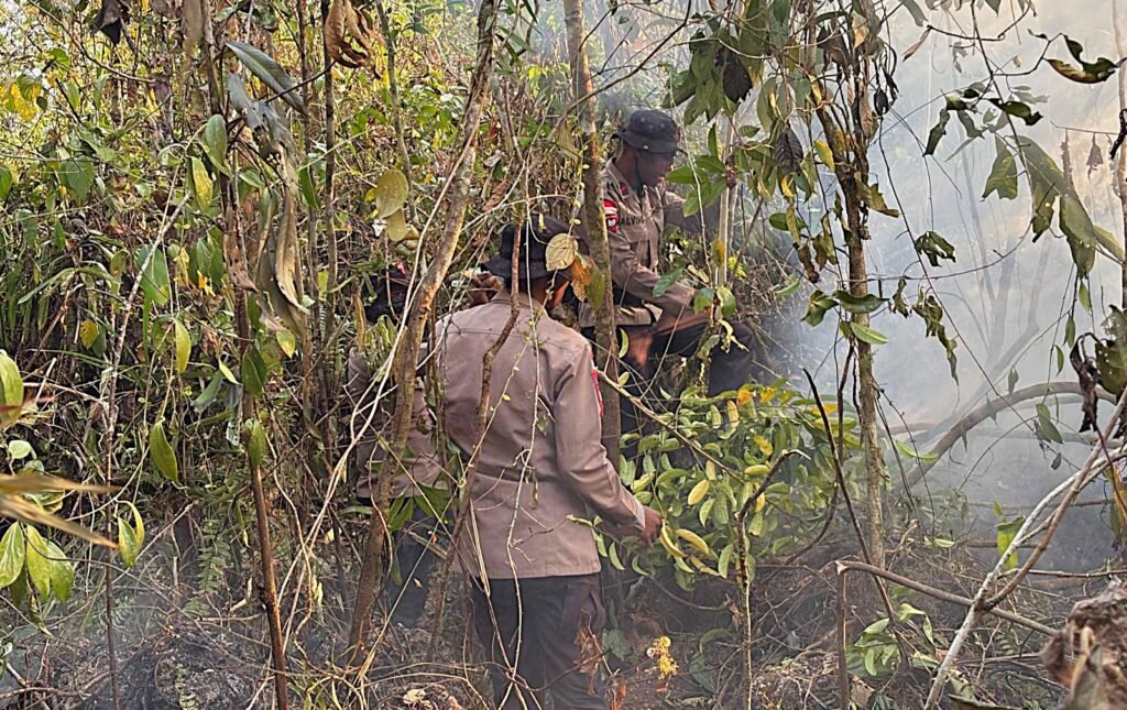 Memasuki hari keenam, personel Kompi 4 Batalyon A Pelopor tetap menunjukkan kesiapsiagaan dalam menangani Karhutla di wilayah Kabupaten Biak Numfor