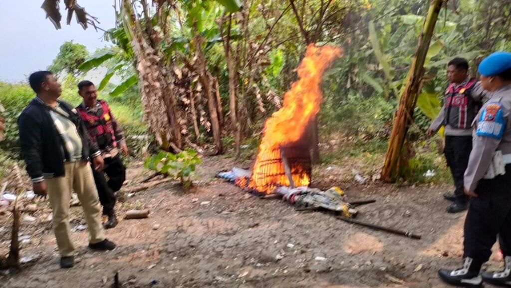 Respon Laporan Warga, Polresta Sidoarjo Bongkar Arena Sabung Ayam di Dua Lokasi