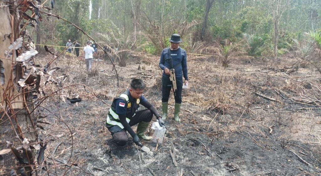 Buronan Kasus Karhutla di Siak Ditangkap, Sempat Halangi Pemadaman demi Selamatkan Sawit