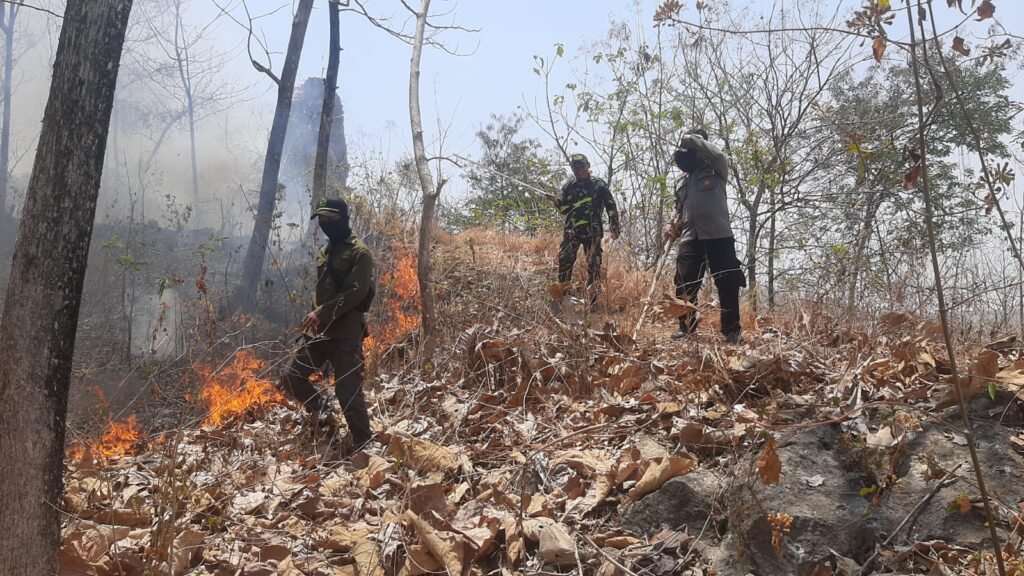 Gerak cepat personel Polres Ponorogo Polda Jatim melalui Polsek Sampung bersama tim gabungan berhasil menggagalkan potensi kebakaran hutan dan lahan (karhutla) berskala besar di kawasan hutan Dukuh Sampung Kidul