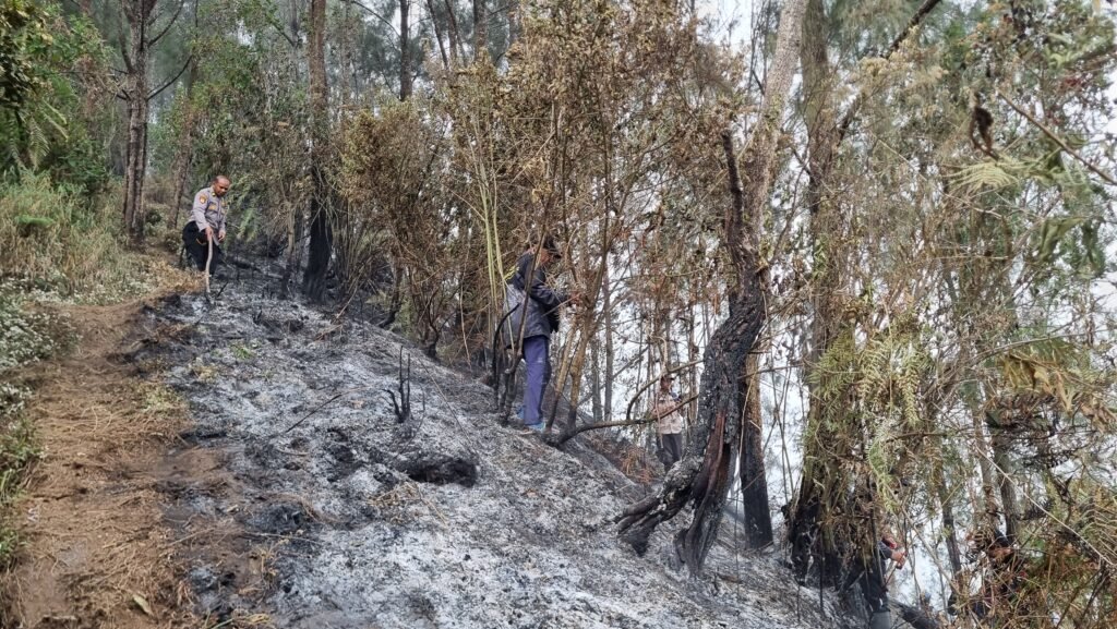 Polres Blitar dan Tim Gabungan Dirikan Posko Darurat Tangani Karhutla Gunung Butak