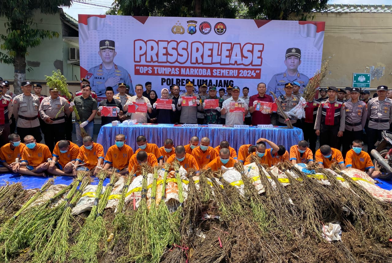 Operasi Tumpas Narkoba Semeru 2024, Polres Lumajang Berhasil Ungkap 16 Kasus dan Bongkar Ladang Ganja di TNBTS