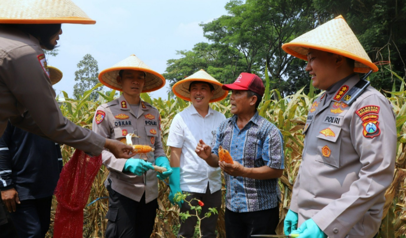 Dukung Swasembada Pangan Nasional Polresta Malang Kota Targetkan Lahan 26,35 Hektar untuk Kuartal IV