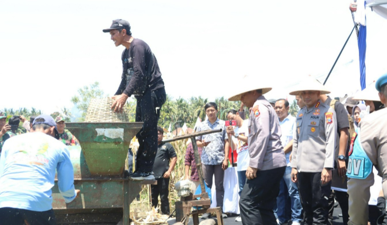 Kapolda Jatim dan Forkopimda Panen Raya Jagung Kuartal III Banyuwangi Surplus Pangan 4 kali Lipat