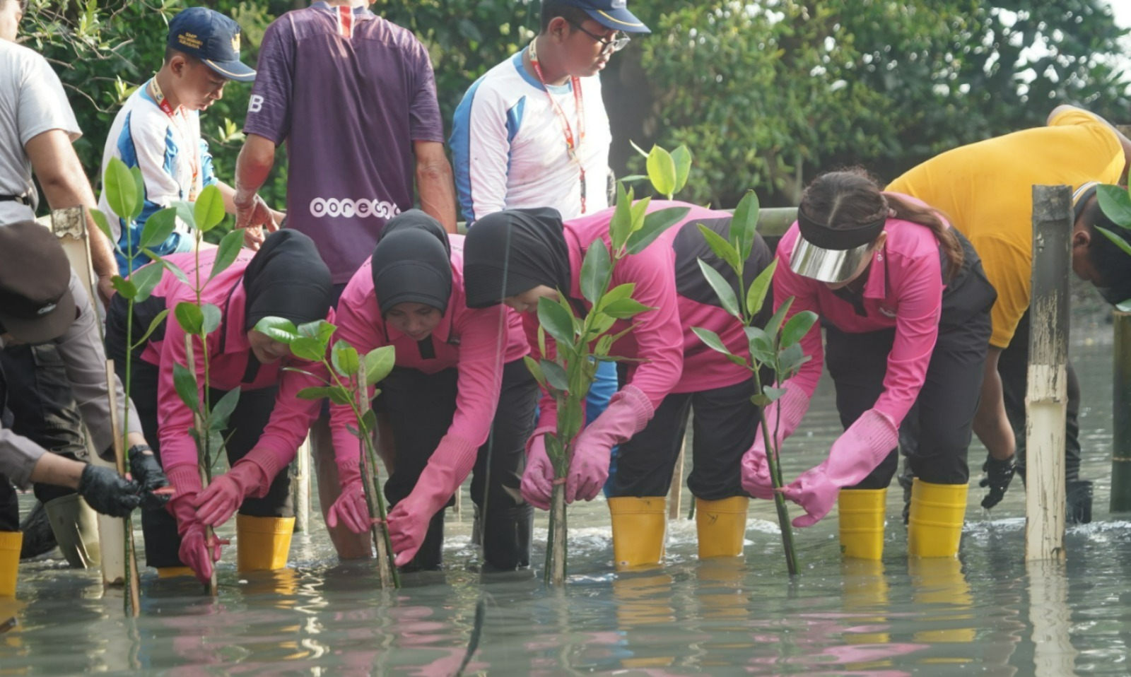 Sambut HUT ke-46, YKB Tanjung Perak Tanam Mangrove Pulihkan Lahan Kritis