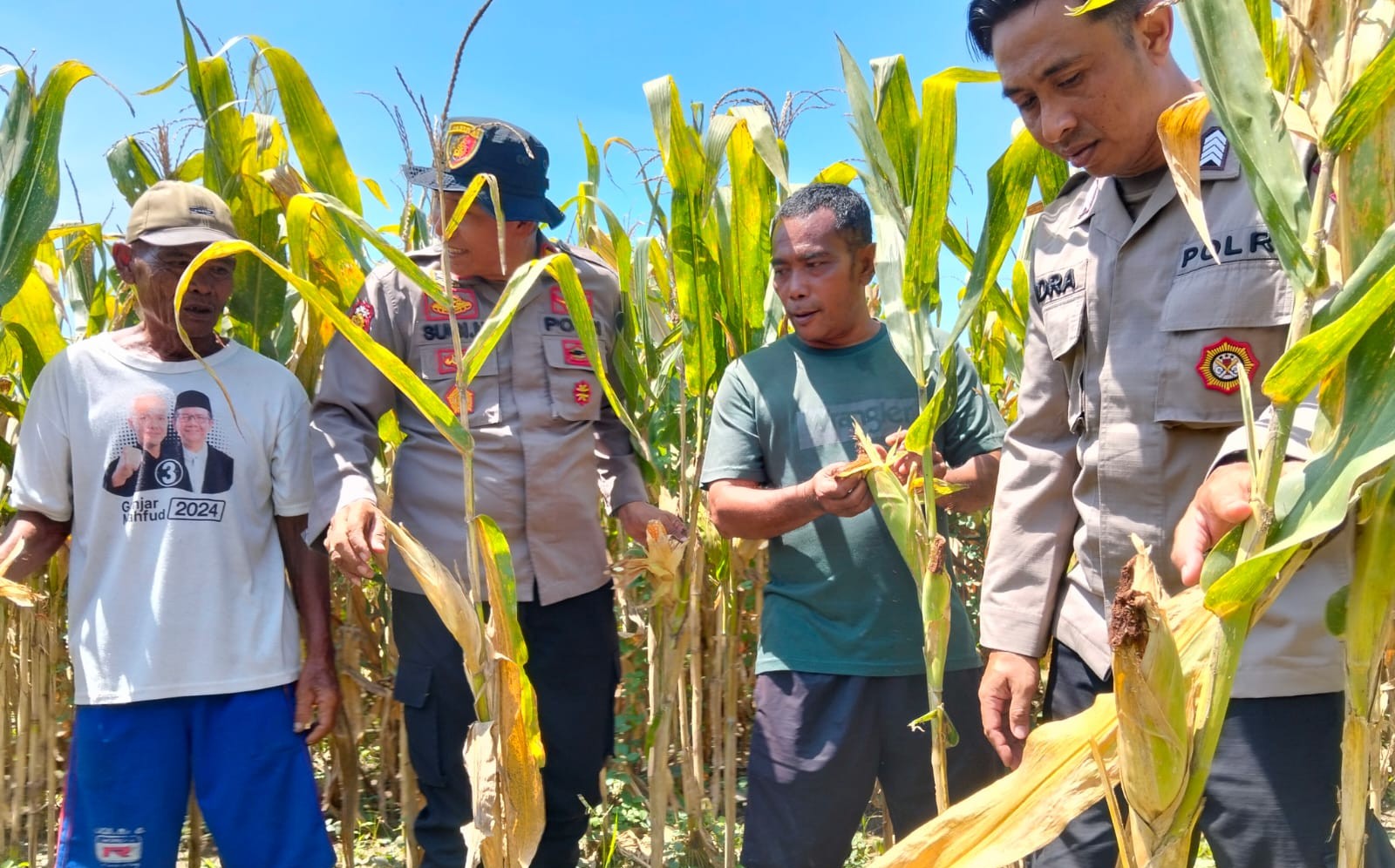 Polresta Sidoarjo Gelorakan Swasembada Pangan Dampingi Warga Tani Kelola Jagung Hibrida