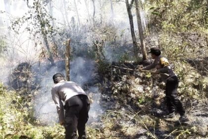 Personel Polsek Sine Polres Ngawi bergerak cepat menangani kebakaran lahan yang terjadi di kawasan Bukit Gogor, Dusun Plosokerep, Desa Kuniran, Kecamatan Sine, Kabupaten Ngawi