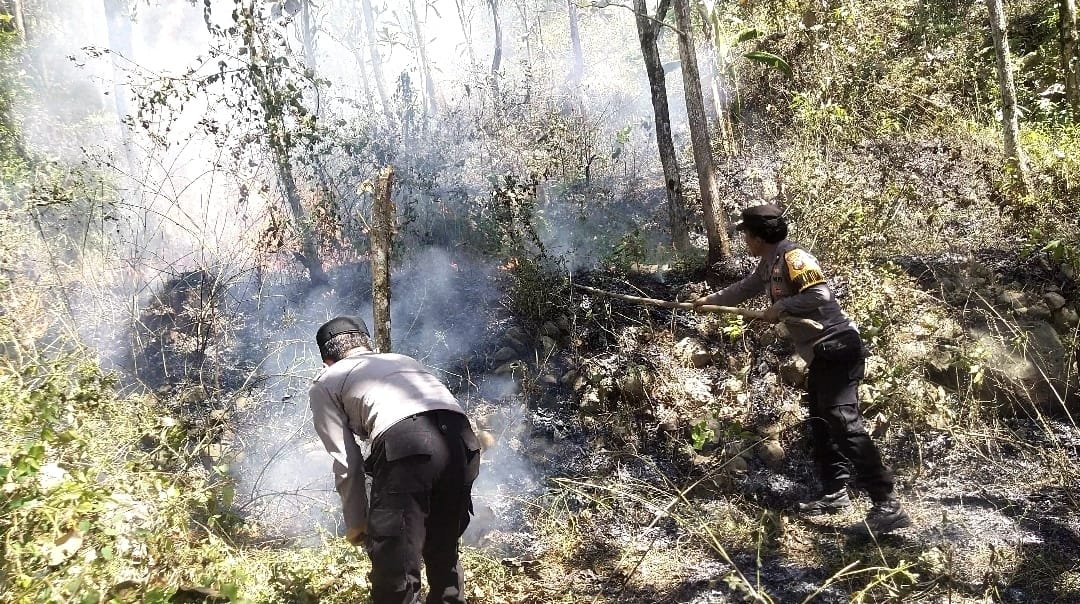 Personel Polsek Sine Polres Ngawi bergerak cepat menangani kebakaran lahan yang terjadi di kawasan Bukit Gogor, Dusun Plosokerep, Desa Kuniran, Kecamatan Sine, Kabupaten Ngawi