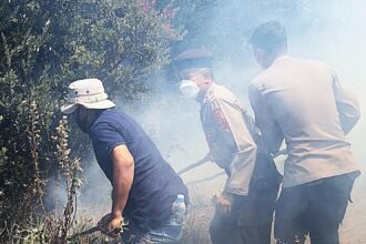 Karhutla Bromo: Api Mengarah ke Ngadisari, Polres Probolinggo Gerak Cepat Padamkan Api di Blok Seruni