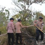 Penanganan Karhutla Hari Keenam, Brimob Kembali Turun Di Biak