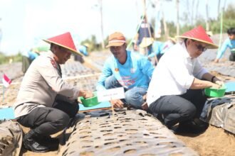 Dukung Swasembada Pangan, Polda Jatim dan Petani Tanam Bawang Putih Serentak