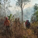 Tim Gabungan Polres Trenggalek Berhasil Evakuasi 4 Pendaki yang Terjebak Kebakaran di Gunung Orak arik