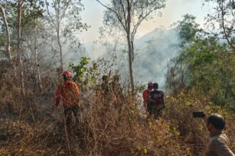 Tim Gabungan Polres Trenggalek Berhasil Evakuasi 4 Pendaki yang Terjebak Kebakaran di Gunung Orak arik