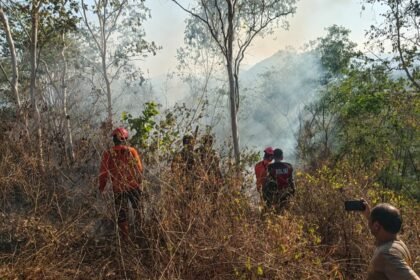 Tim Gabungan Polres Trenggalek Berhasil Evakuasi 4 Pendaki yang Terjebak Kebakaran di Gunung Orak arik