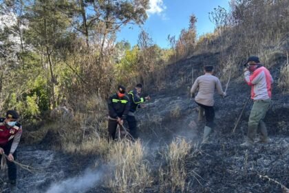 Kebakaran hutan dan lahan (karhutla) yang melanda kawasan Taman Nasional Bromo Tengger Semeru (TNBTS) di Kabupaten Lumajang tersebut terpantau belum sepenuhnya padam hingga Minggu