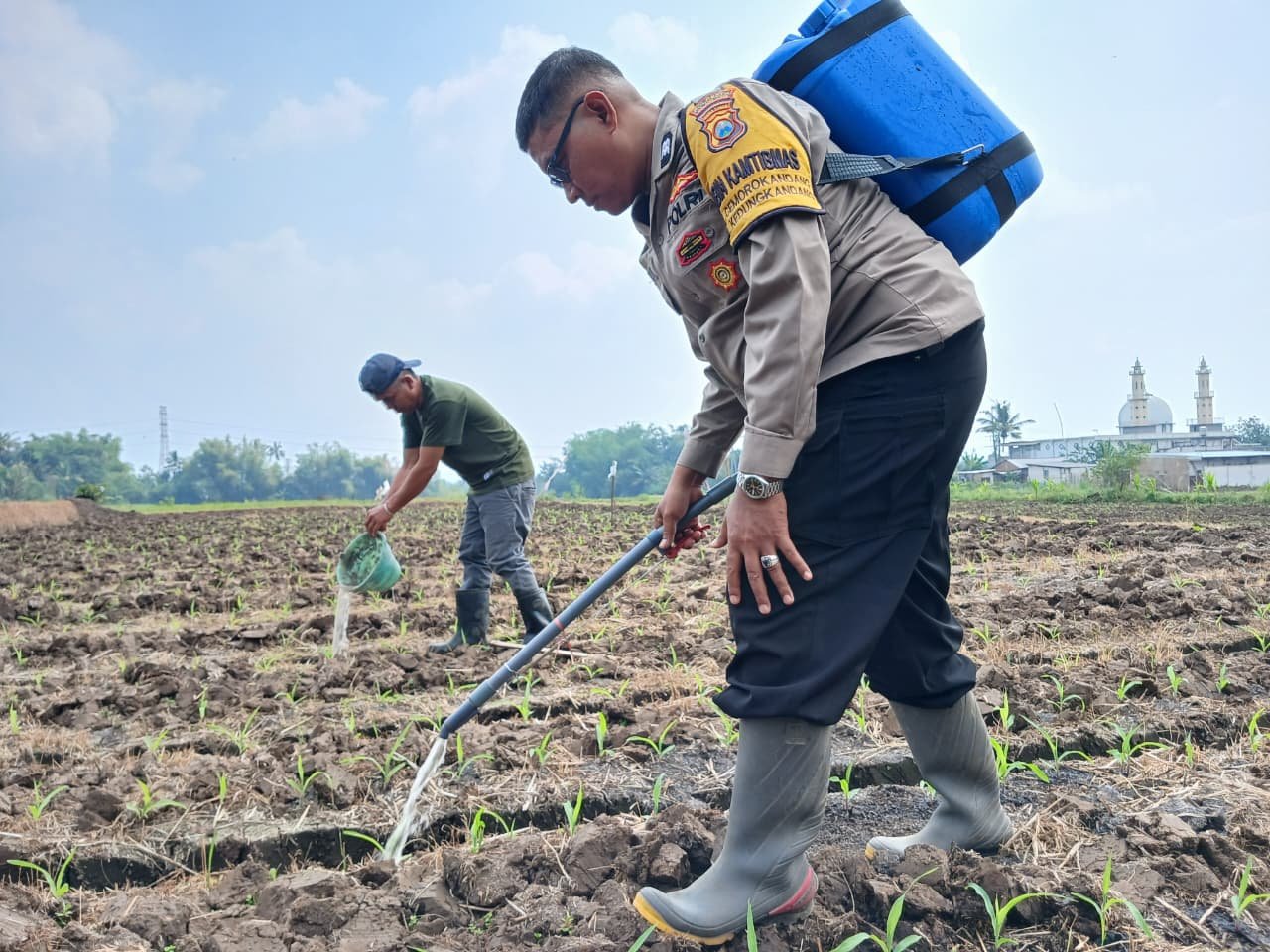 Perkuat Ketahanan Pangan, Pak Bhabin Polresta Malang Kota Turun ke Ladang Dampingi Petani Sirami Tanaman Jagung