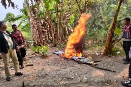 Respon Laporan Warga, Polresta Sidoarjo Bongkar Arena Sabung Ayam di Dua Lokasi