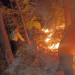 Petugas berjibaku memadamkan api pada serasah dan ranting kering menggunakan alat gepyok (pemukul api), membuat sekat bakar, serta menimbun bara menggunakan tanah untuk memutus suplai oksigen