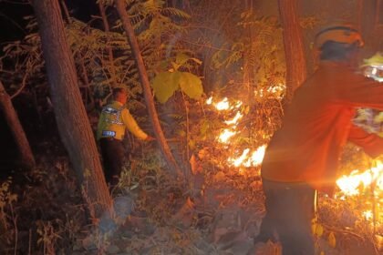 Petugas berjibaku memadamkan api pada serasah dan ranting kering menggunakan alat gepyok (pemukul api), membuat sekat bakar, serta menimbun bara menggunakan tanah untuk memutus suplai oksigen