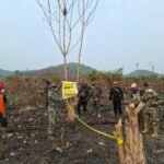 Pantau Karhutla, Satbrimob Polda Jambi Bersama Instansi Terkait Patroli Kawasan Konservasi Gajah di Tebo