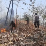 Respons Cepat Polres Ponorogo dan Tim Gabungan Berhasil Jinakkan Karhutla di Sampung