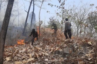 Respons Cepat Polres Ponorogo dan Tim Gabungan Berhasil Jinakkan Karhutla di Sampung