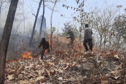 Respons Cepat Polres Ponorogo dan Tim Gabungan Berhasil Jinakkan Karhutla di Sampung