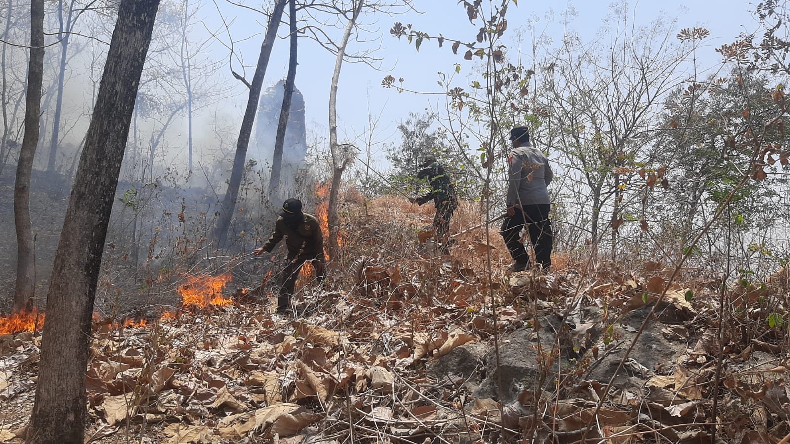 Respons Cepat Polres Ponorogo dan Tim Gabungan Berhasil Jinakkan Karhutla di Sampung