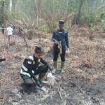Buronan Kasus Karhutla di Siak Ditangkap, Sempat Halangi Pemadaman demi Selamatkan Sawit