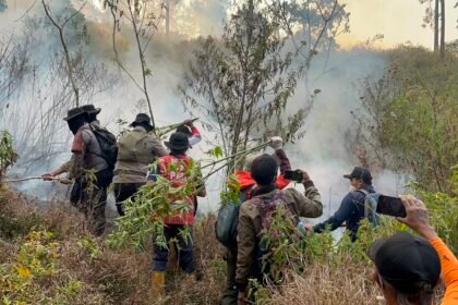 Kebakaran hutan yang sebelumnya sempat dinyatakan padam, kini kembali menyala di lokasi kebakaran awal, tepatnya di Petak 100 Gunung Buthak, Kecamatan Pujon, Kabupaten Malang