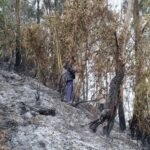Polres Blitar dan Tim Gabungan Dirikan Posko Darurat Tangani Karhutla Gunung Butak