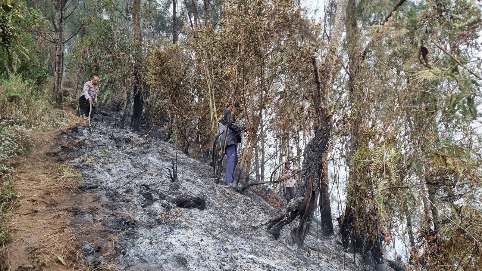 Polres Blitar dan Tim Gabungan Dirikan Posko Darurat Tangani Karhutla Gunung Butak