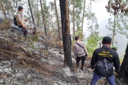 Tembus Ketinggian 1.800 MDPL, Tim Gabungan Polres Blitar Jinakkan Api di Gunung Buthak