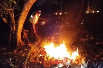 Respons Cepat, Polsek Widodaren dan Tim Gabungan Padamkan Titik Api Karhutla di Ngawi*