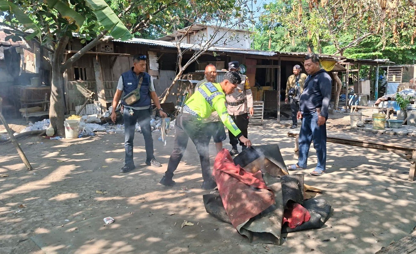 Polsek Waru Bongkar Arena Sabung Ayam di Bungurasih Utara